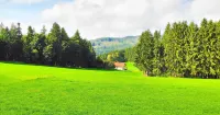 Ferienhaus Ramersdorf Hotels in Neukirchen