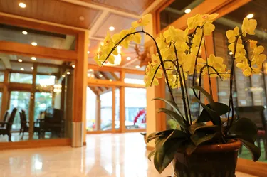 รูปภาพของโรงแรมพีค นิมมาน เพรสทีจ