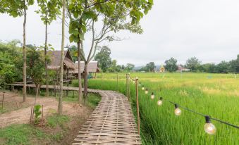 Paddy Fields Haven - Natures Nest