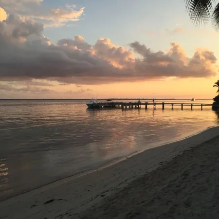 Escape to Paradise – Beautiful & Budget-Friendly Condo!