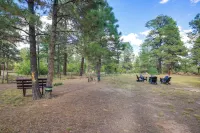 Spacious & Quiet Pagosa Springs Cabin w/ Deck!
