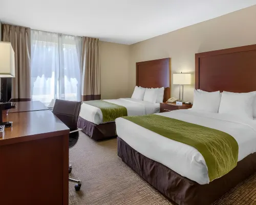 Comfort Inn St Petersburg North Hotels in St. Petersburg