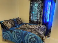 Beautiful 3 Bedroom, 6 Guest+, Rentals in St Thomas Jamaica Hotels in Leith Hall
