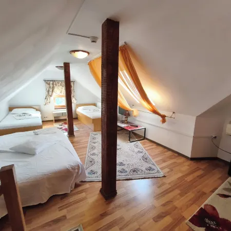 Pensiunea Buon Gusto Sibiu-Motorcyle Friendly,City Center