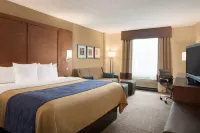 Comfort Inn & Suites Presidential