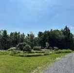 Modern guesthouse in Mad River ValleyFernstone