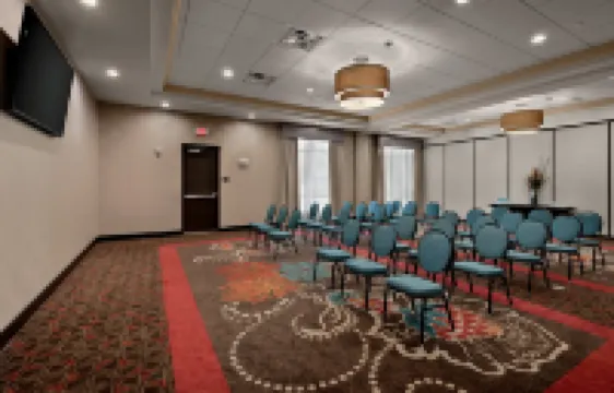 坦帕西北/奧爾茲馬歡朋套房飯店