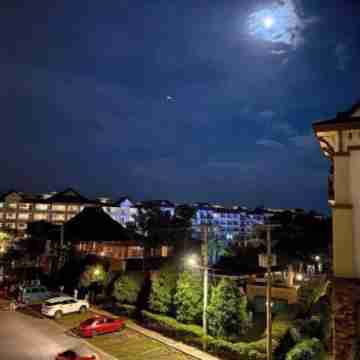 Convenient 1BR Beside SM Mall Others