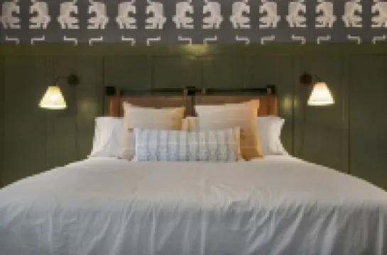 Pet-Friendly 2Br • Fenced Yard Near Downtown Greenville