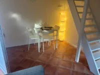 Cozy apartment directly on the Rhine