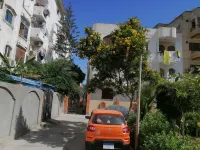 a super clean cozy apartment in Elsaedy street Hotel a Madinet Kafr Al Battikh