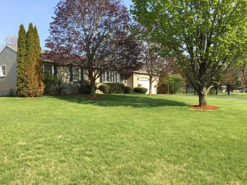 Charming 3-bedroom house in Saratoga Springs! Private yard and pet friendly! Hotels in Wilton