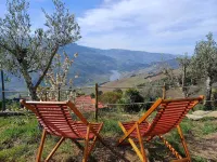 Luxury Douro Villa | Private pool, river views & BBQ Terrace