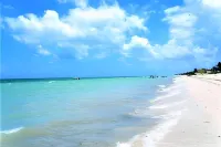 Nice apartment in Chicxulub Hotels in Chicxulub Puerto