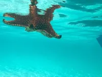 Floating Hotel in Paradise !!!! Staniel Cay, Exuma,Bahamas!!! Hotel di Staniel Cay