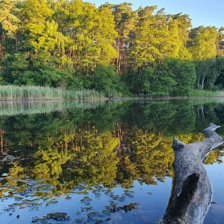Living in a small village in the middle of nature many lakes forest and hiking trails