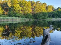Living in a small village in the middle of nature many lakes forest and hiking trails