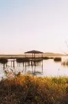 Tava Glamping Lago Các khách sạn ở Caacupe