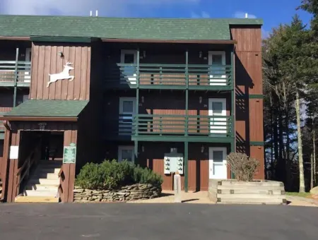 24 Mountain Crest, Snowshoe, WV - Rustic Retreat