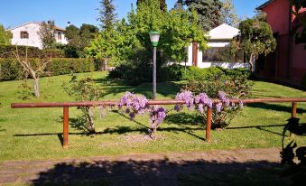 Agrialbergo la Sugherella