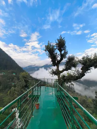 Mozo- Tree House Hostel