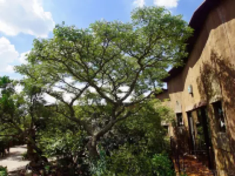 Leopards Rock Bush Boutique Hotels in Waterberg District Municipality