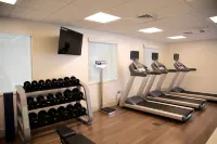 Holiday Inn Express & Suites OSWEGO by IHG - Gym