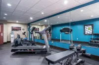 Holiday Inn Express & Suites ROANOKE RAPIDS SE by IHG - Gym