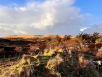 6 Person Holiday Home in Hjorring