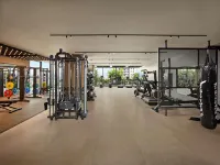 Pullman Hai Phong Grand Hotel - 피트니스 시설