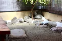 水縹日光