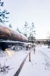 Arctic Lumo Resort Hotels in Kuusamo