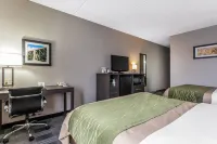 Comfort Inn Cleveland Airport - Afhentnings-/afleveringstjenester