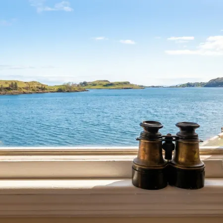Heather Island View