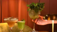Hôtel Spa Vent d'Ouest - bar