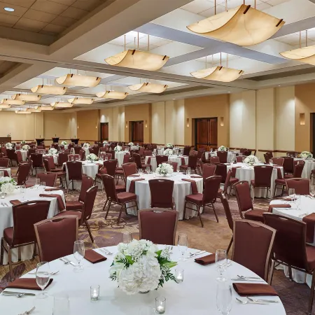 DoubleTree by Hilton San Antonio Airport