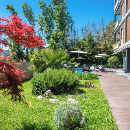 Rooms Oasis Life