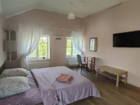 Snow White V Istoricheskom Centre Guest House ウラジミールのホテル