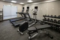 Fairfield Inn & Suites Mobile Daphne/Eastern Shore - gimnasio