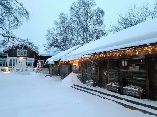 Lauri Historical Log House Manor - Homestays