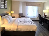 AUSTINBURG HOTEL by IHG - 2-Star