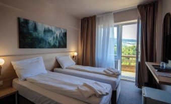 Bacolux Santis, Covasna - Housity
