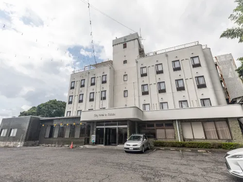 City Hotel in Kokubu - bar