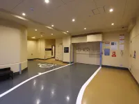 多米廣島分館温泉酒店 - 停車場