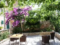 Apartments Paloc - Standard One-bedroom Apartment with Balcony (Žuti) - 3-Star
