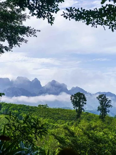 รูปภาพของKhaosok Boutique Camps
