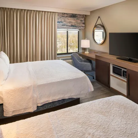 Hampton Inn & Suites Binghamton/Vestal