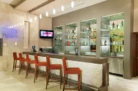 Hilton Garden Inn Sanliurfa - bar
