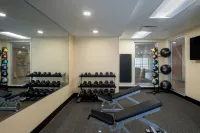 TownePlace Suites Venice - Træningscentre