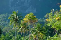 Povai lodge - Wifi